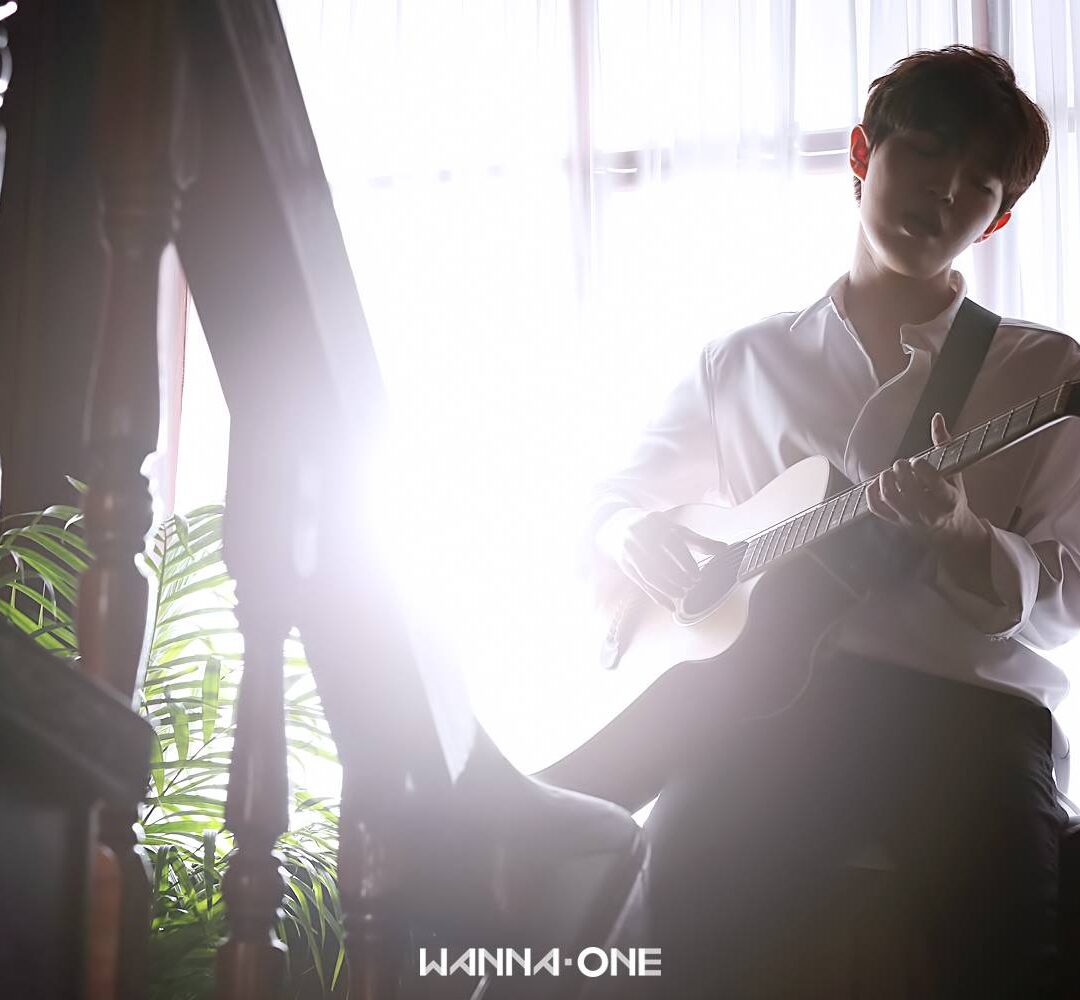 20232874_454114341612810_5777771509198737743_o