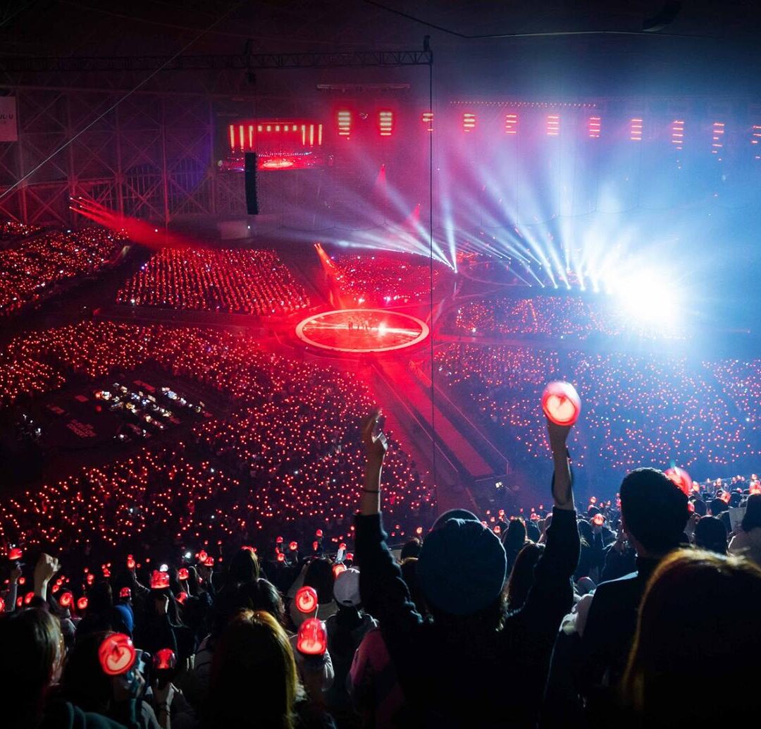 50793926_776493366041571_5442420658698977280_o